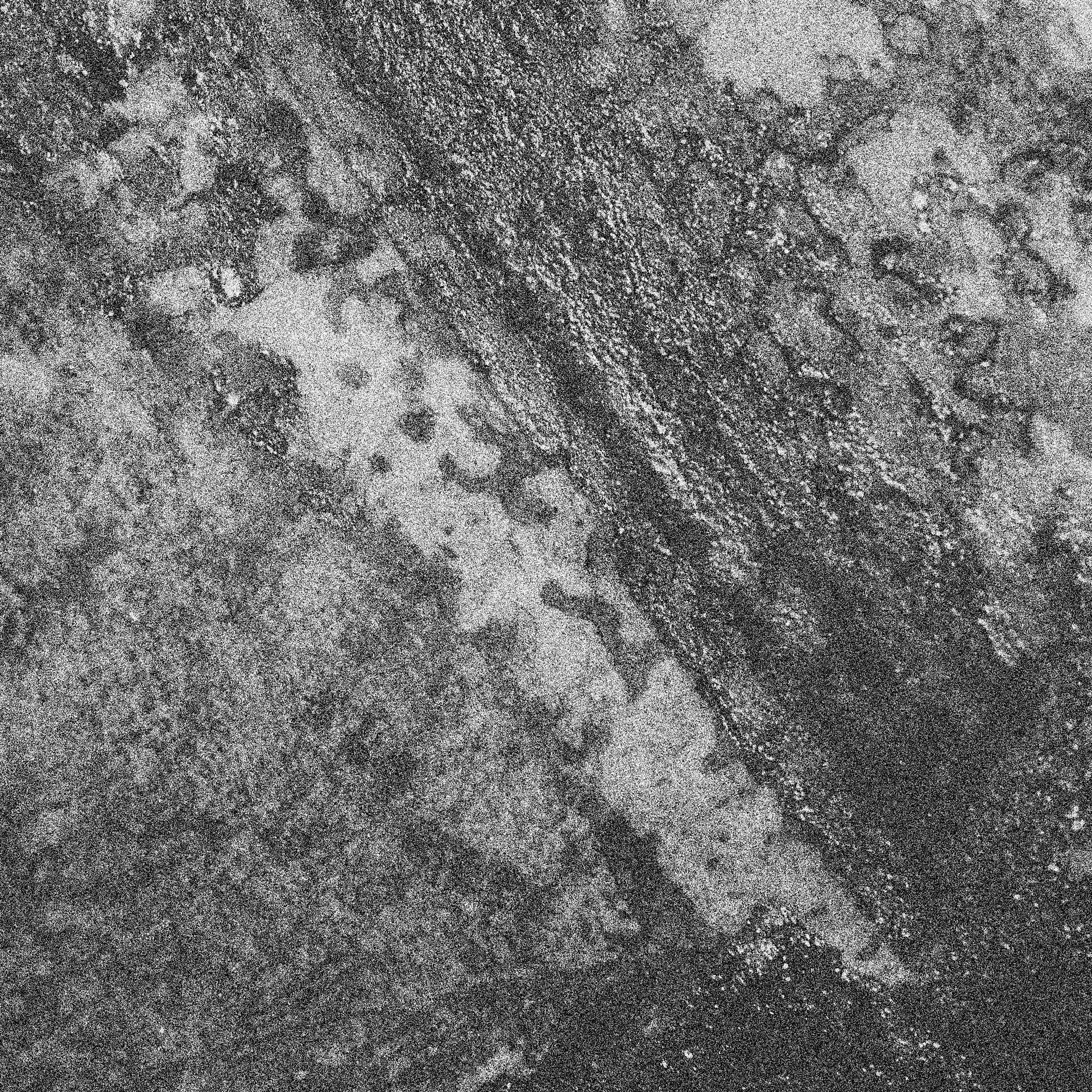 Close-up of a rough, speckled rock surface in grayscale. “