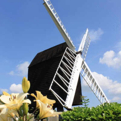 White windmill with lattice blades against a blue sky, yellow lilies in the foreground.