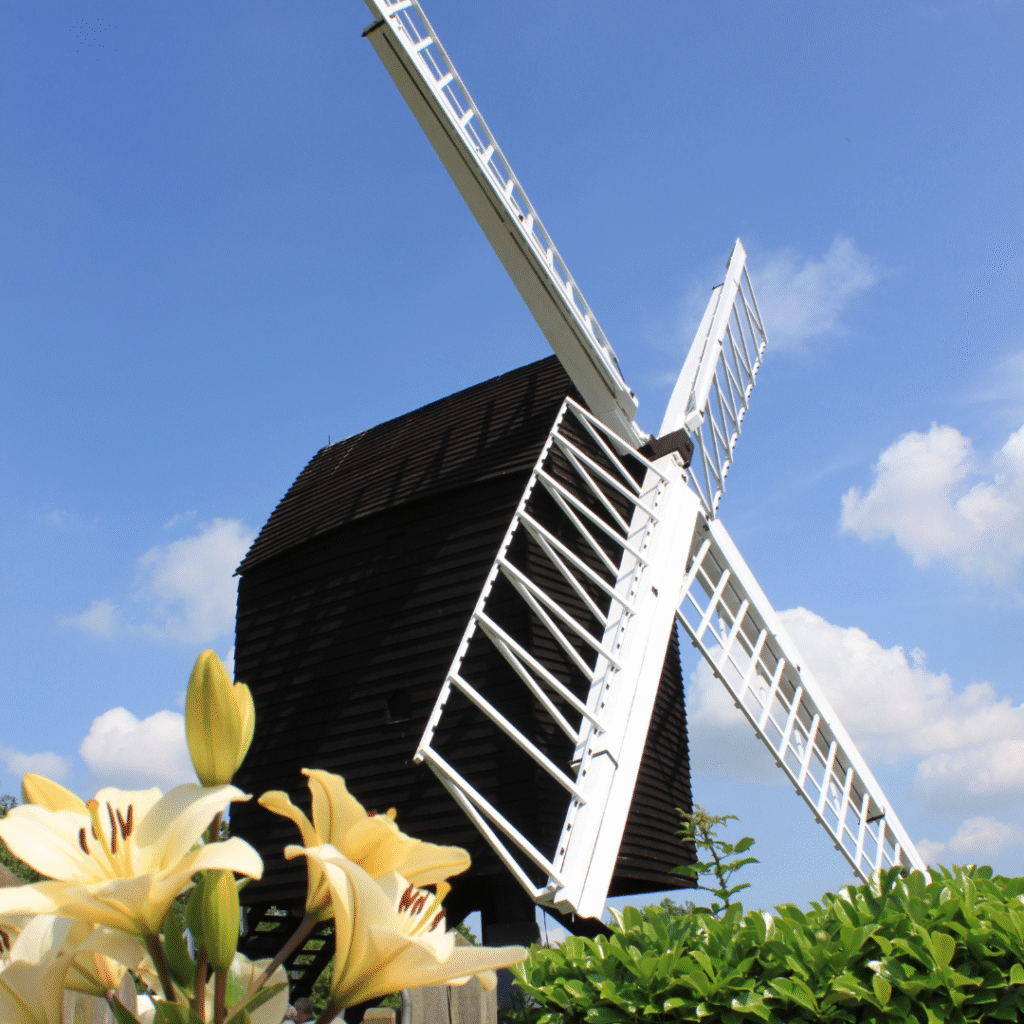 White windmill with lattice blades against a blue sky, yellow lilies in the foreground.