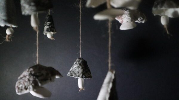 Close-up of tiny pendants made from mushroom caps hanging on twine in a dark room.