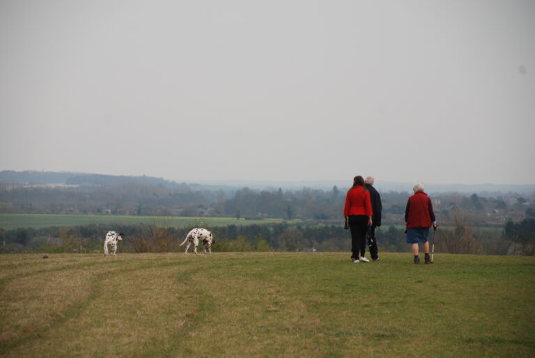 People in red jackets standing with two Dalmatian dogs in a grassy field under a cloudy sky.